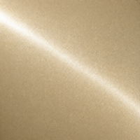 Metallic Champagne Gold